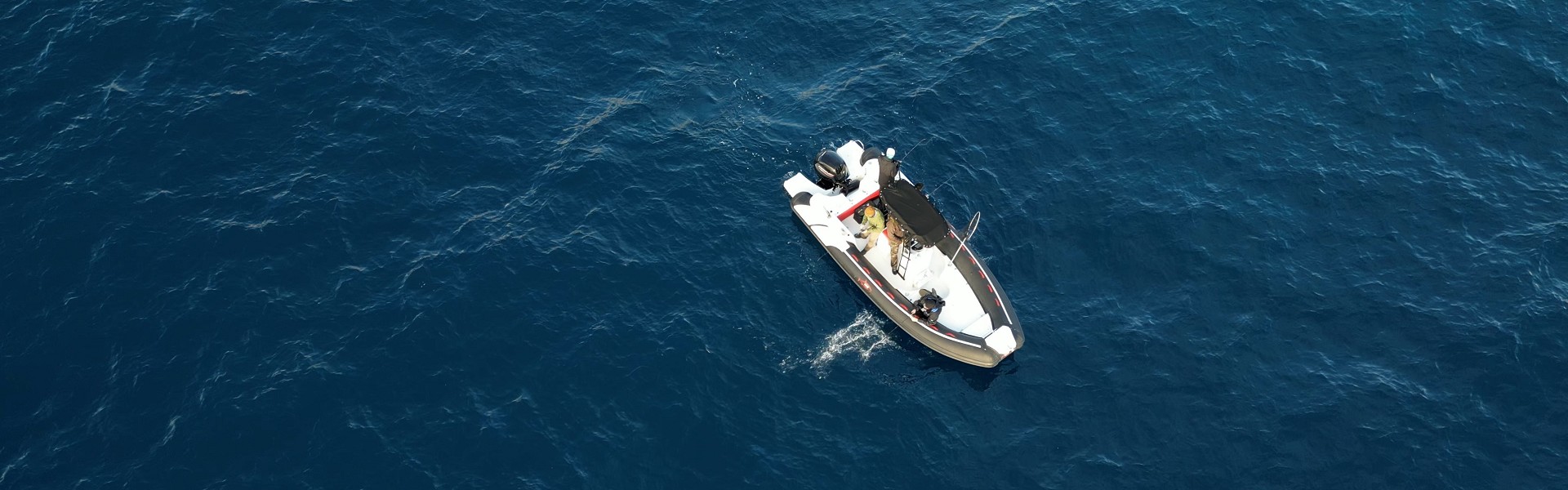 Chiusura Pesca al Tonno 2023 | Quanto Costa Noleggiare una Barca al Lago di Garda | Pesca al Tonno con la Canna